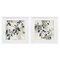 Stupell Industries Mediterranean Green Olives 2pc Framed Print Under Glass Set, design by Mona Grace